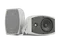 CVGAUDIO ODF616TW настенная акустическая система