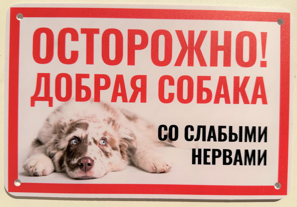 Табличка "Осторожно быстрая собака"