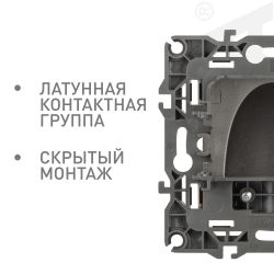 Вывод кабеля ЭРА Серия 12 12-6003-16 , титан | Эра 12