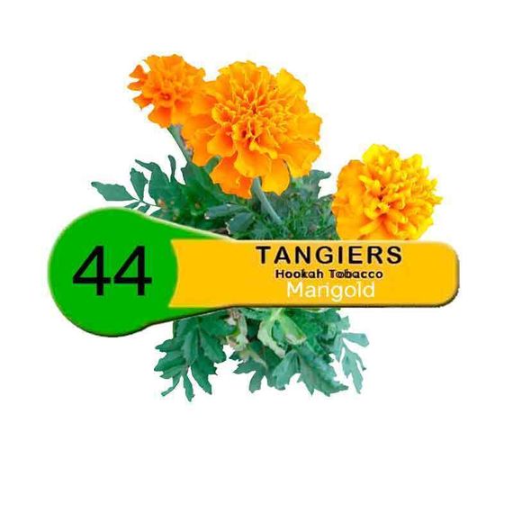 Tangiers Noir - Marigold