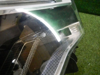 DSCN1403.jpg