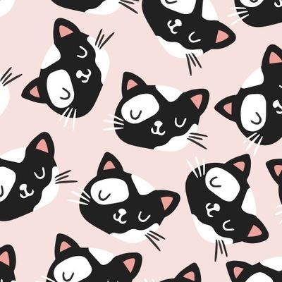 Милые котята