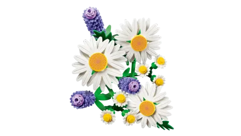 Конструктор LEGO Botanical Collection 11508 Daisies