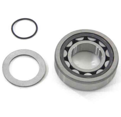 ROLLER BEARING ASSY