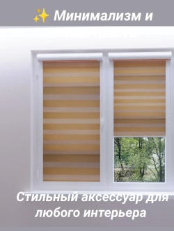Рулонные шторы День-Ночь Зебра 60х150 см