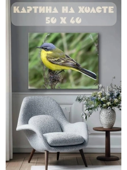 Картина на стену 40 X 50 Желтая птица