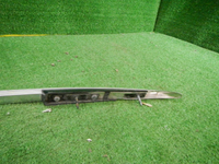 DSCN7955.JPG