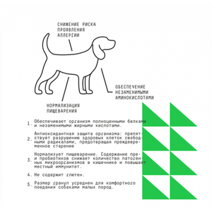 Сухой корм AJO Dog Mini Hypoallergenic для взрослых собак миниатюрных и малых пород, склонных к аллергиям, с гречкой