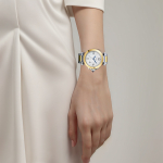 CARTIER PASHA DE Automatic Mechanical Movement Women"s Watch 41mm White Dial Stainless Steel Case