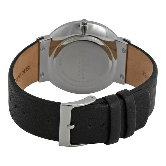 Наручные часы Skagen SKW6104