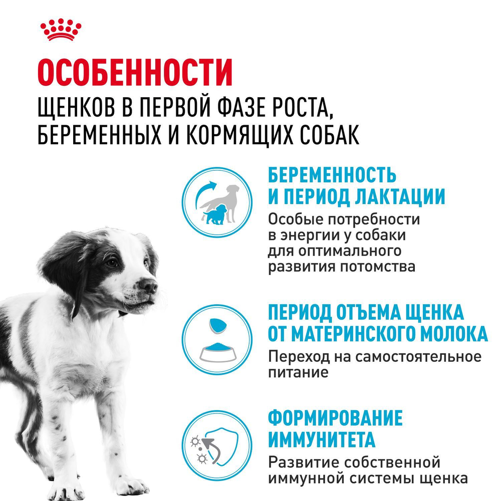 Royal Canin Medium Starter Mother&Babydog Медиум Стартер энд бебидог Корм для щенков средних пород до 2 месяцев беременных и кормящих собак 12кг