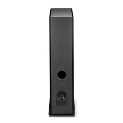 Напольная акустика Focal VESTIA N2 Black