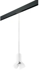 Трековый светильник Rullo PRORP436436 Lightstar