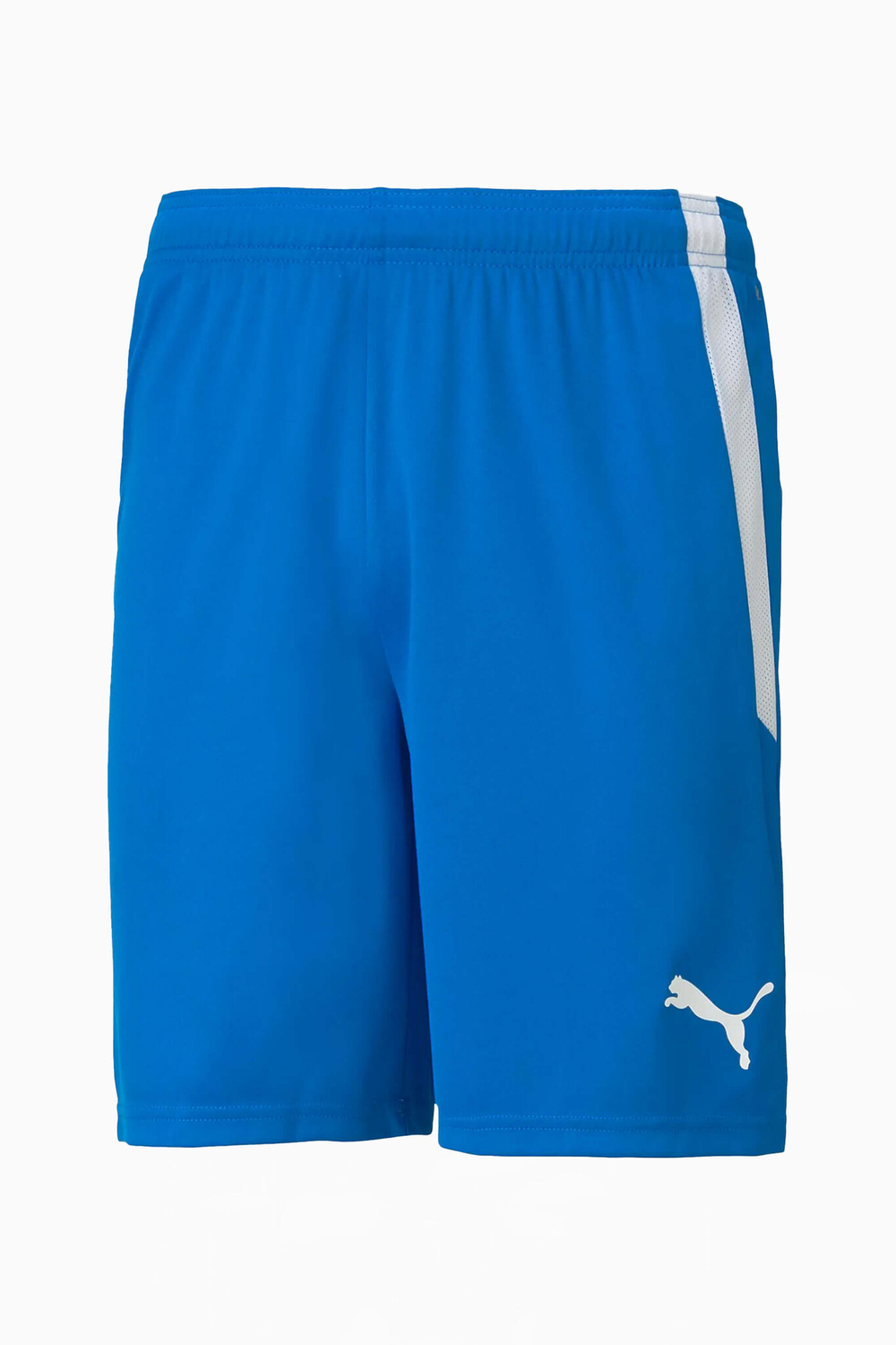 Шорты Puma teamLIGA