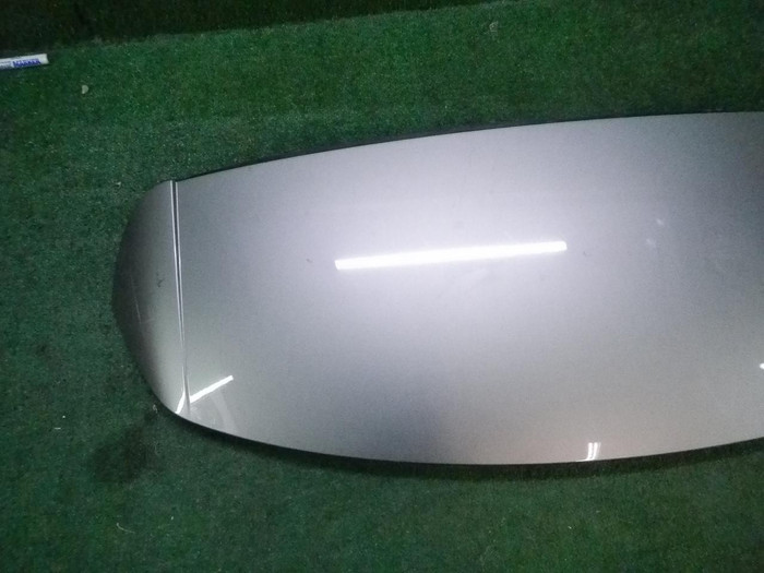 DSCN8203.JPG