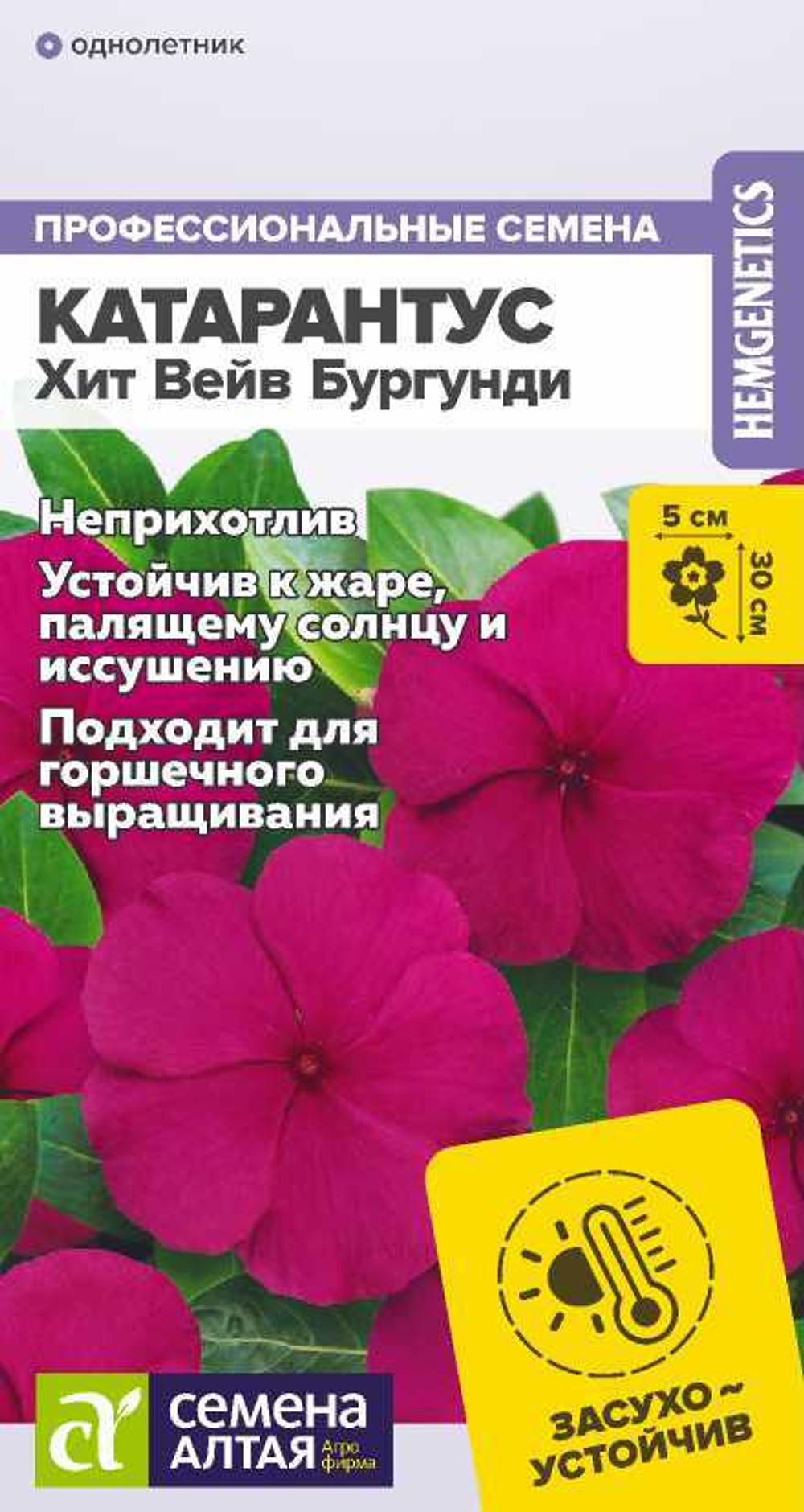 Катарантус Хит Вейв Бургунди 7шт САц