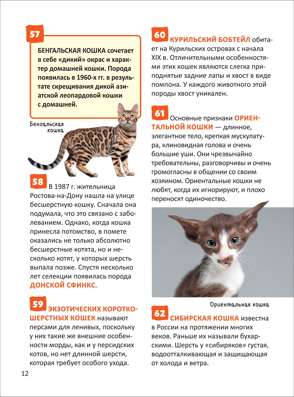 Кошки и собаки. Энциклопедия российского школьника