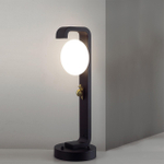 Ландшафтный светильник Odeon Light LUMA 5434/1F