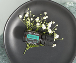 Эфирное масло dōTERRA Равинтсара, Ravintsara, 5 мл