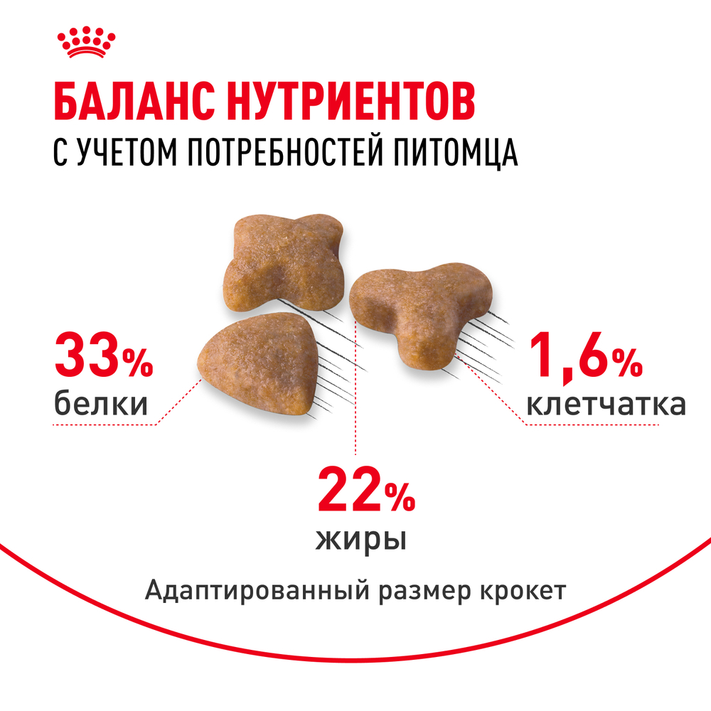 Royal Canin Sensible 33 Сенсибл Корм сухой для взрослых кошек с чувствительным пищеварением в возрасте старше 1 года 4кг