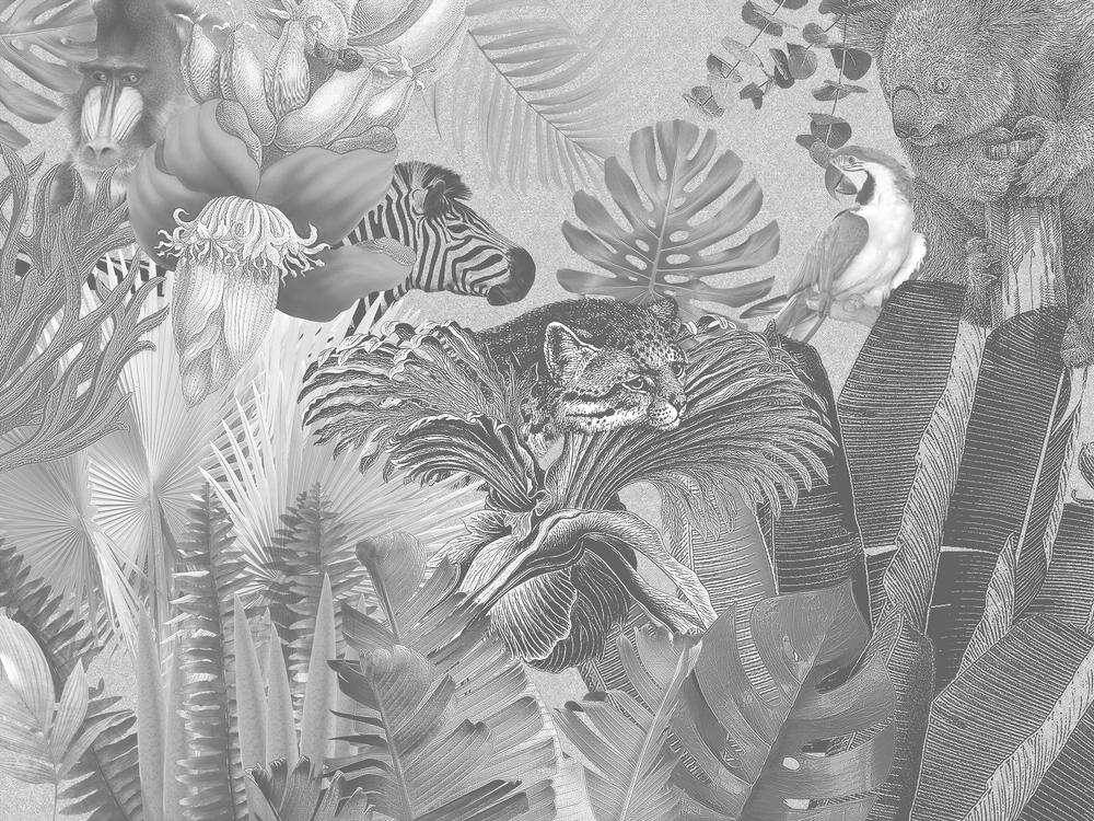 ZENITH 11
