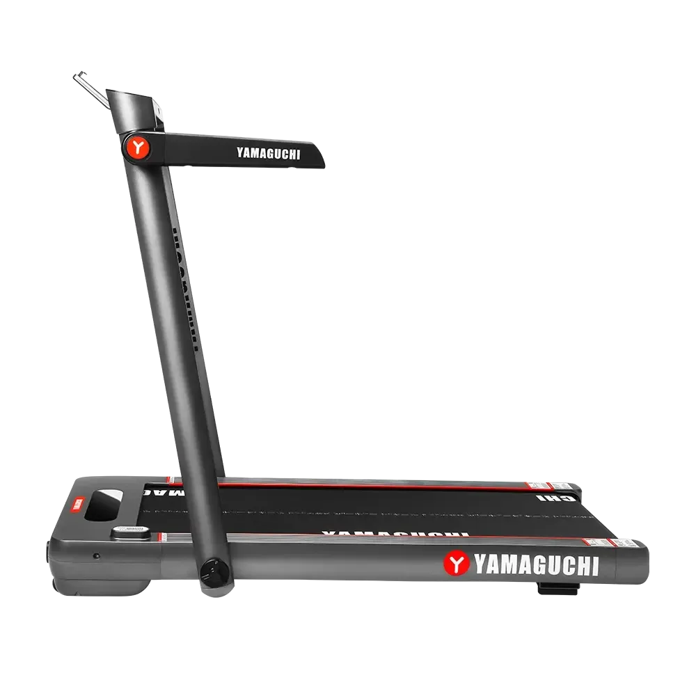 Беговая дорожка Yamaguchi Home RACE
