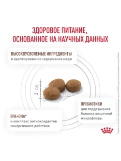 Hepatic HF 26 Feline Корм для кошек 2кг