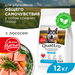 Корм сухой для взрослых собак средних пород, премиум полнорационный комплекс, улучшение общего самочувствия, с лососем, 12 кг, QUATTRO