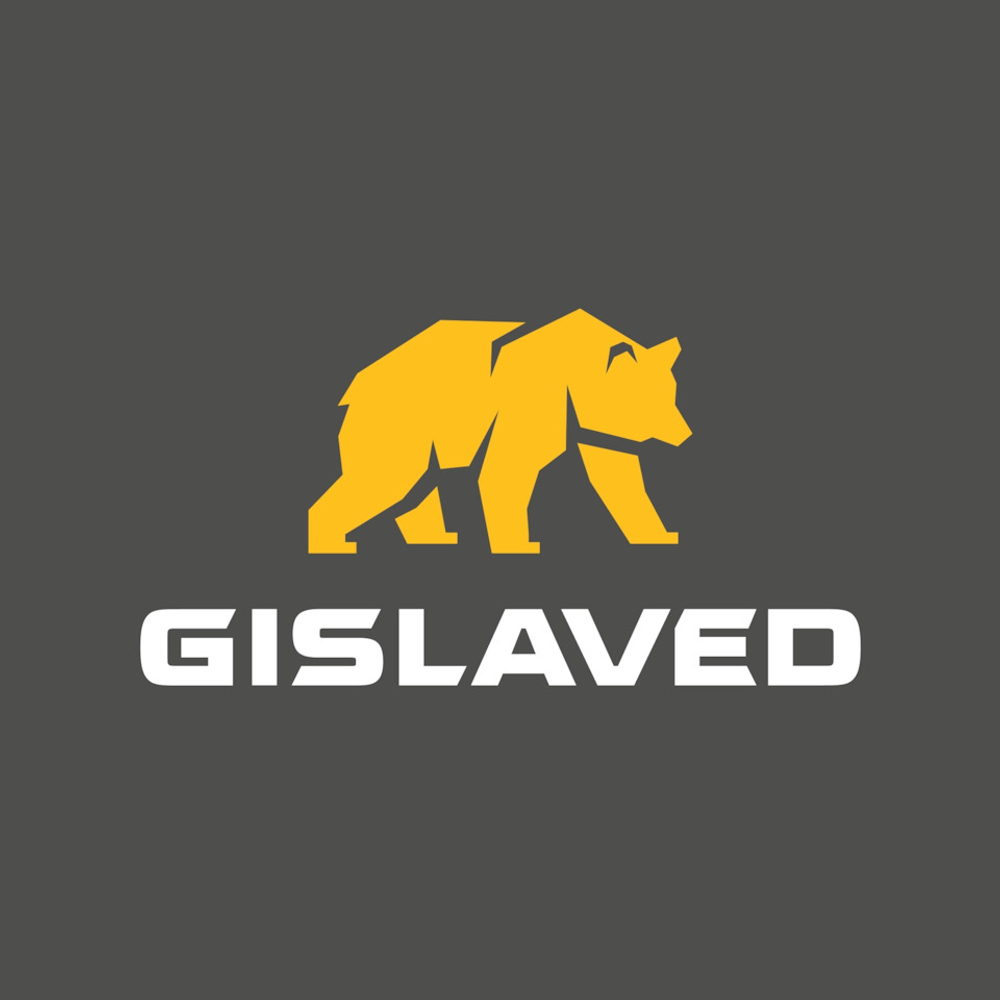 Летняя шина Gislaved ActiveControl (225/55 R18 98V)
