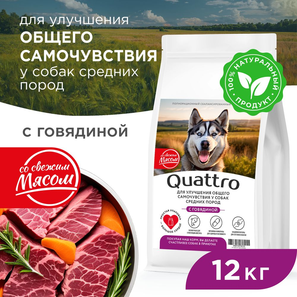 Корм сухой для взрослых собак средних пород, премиум полнорационный комплекс, улучшение общего самочувствия, с говядиной, 12 кг, QUATTRO