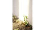 Компактный фотоаппарат Ricoh GR IIIx HDF