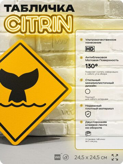 Табличка прикольная "Осторожно, киты" на дверь и стену, информационная и предупреждающая, декоративный знак, 24,5х24,5 см, пластиковая, Айдентика Технолоджи
