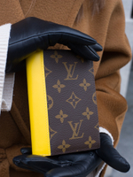 Louis Vuitton Обложка для паспорта