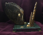 "Латимерия"