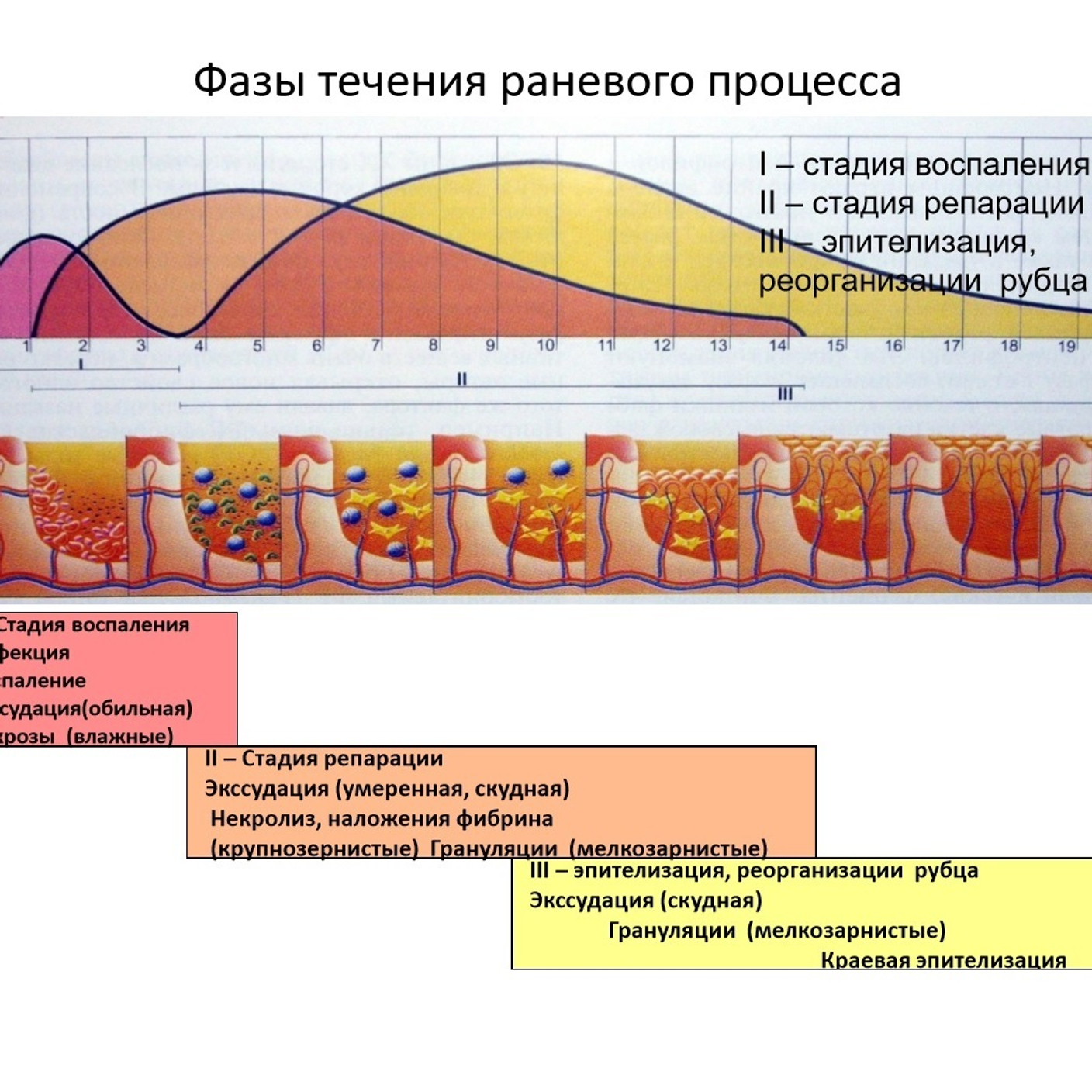 Компания КАМА начала серию обучающих семинаров для сотрудников