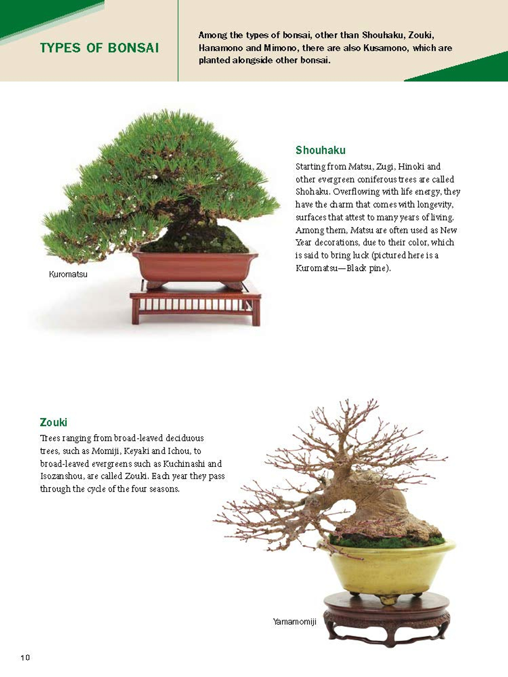 The Ultimate Bonsai Handbook: The Complete Guide for Beginners