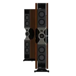 PMC fact Fenestria Tiger Ebony