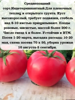 Семена Томат Добрыня Никитич 0.2 гр