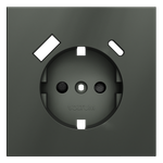 Накладка для розетки с заземлением и защитными шторками, с USB A+C, (титан) Voltum S70 VLS001006