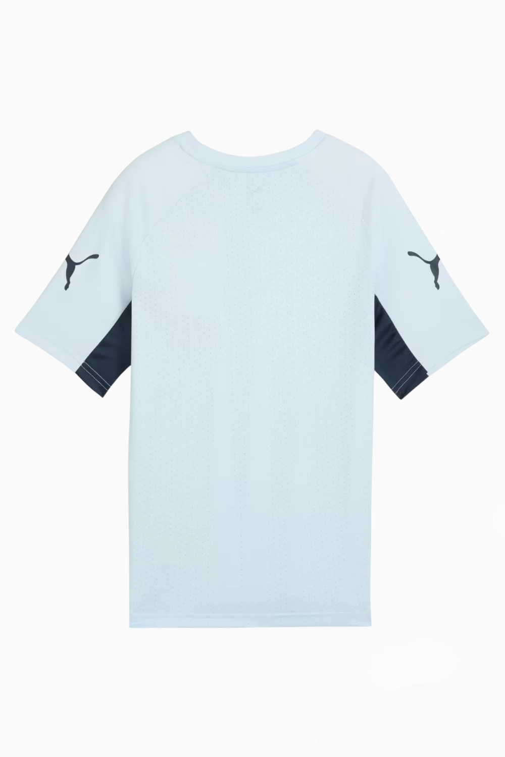 Футболка Puma individualLIGA Junior - голубой