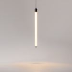 Подвесной светодиодный светильник Maytoni Ray P022PL-L10B