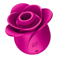 Ярко-розовый вакуум-волновой стимулятор Satisfyer Pro 2 Modern Blossom 4065861