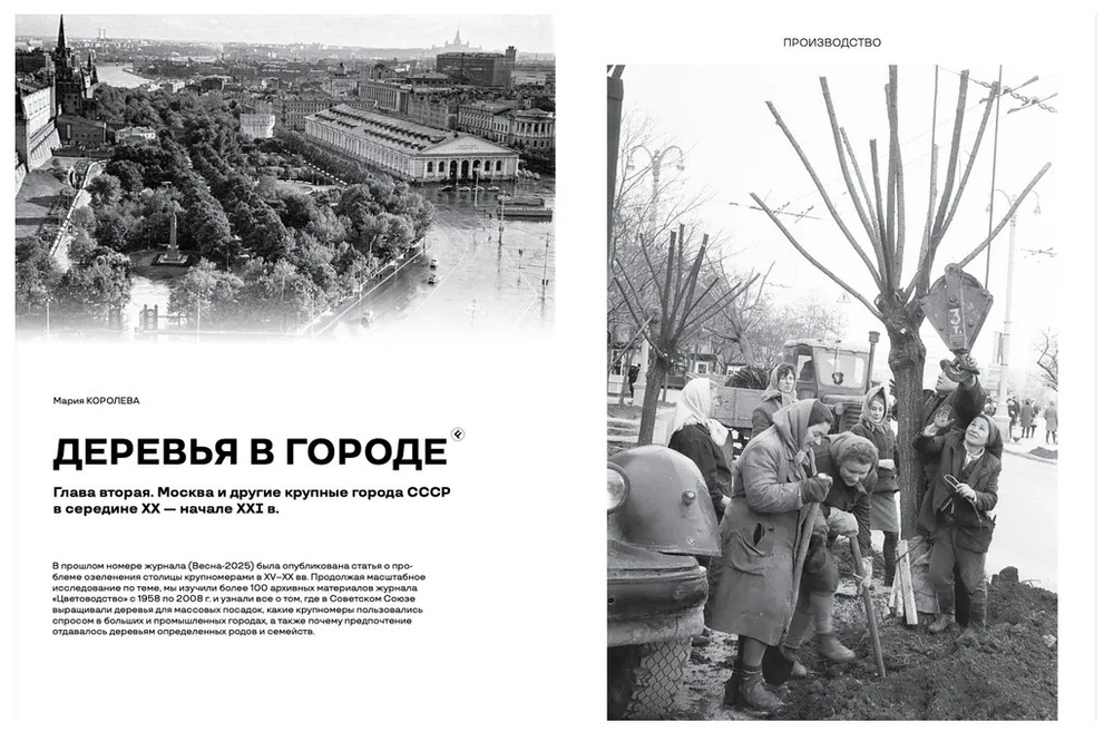 Цветоводство ЛЕТО 2025