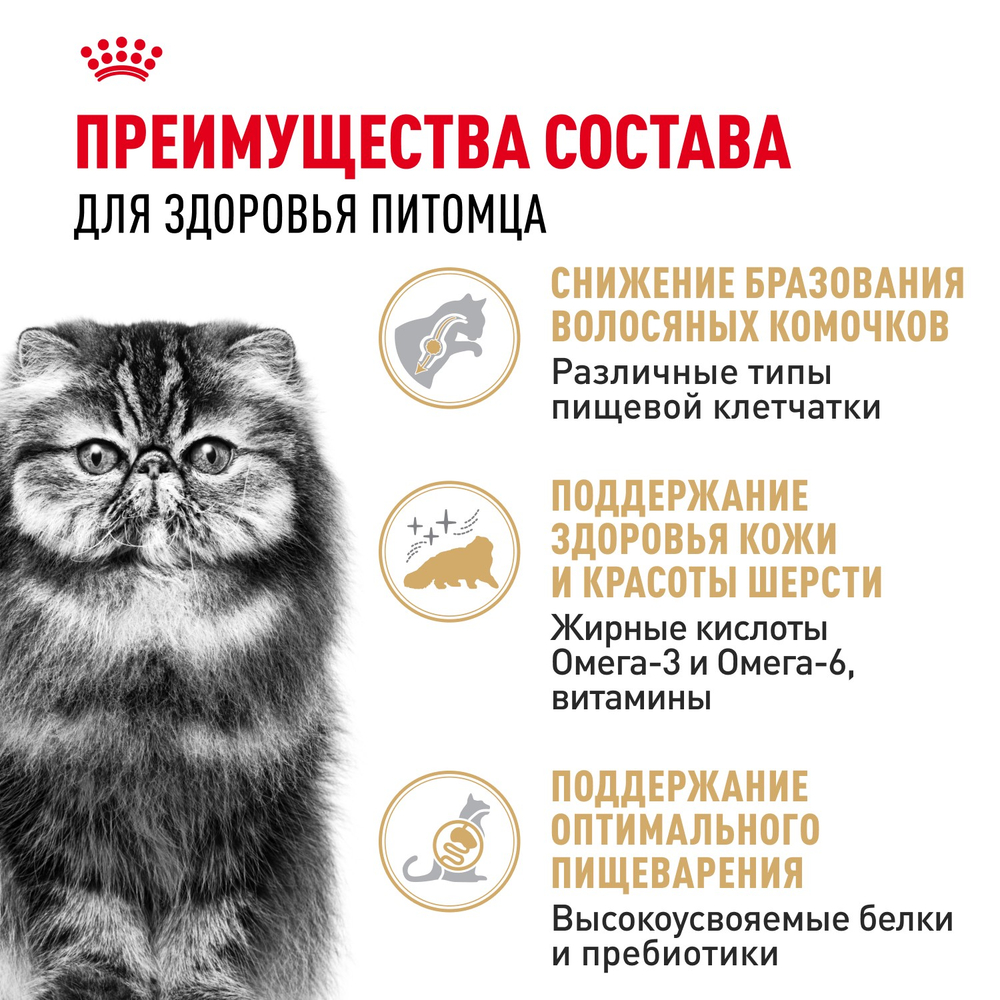 Royal Canin Persian Adult Персиан Эдалт Корм сухой для взрослых кошек породы персидская от 12 месяцев 2кг