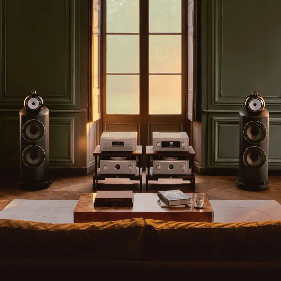 Bowers &amp; Wilkins 801 D5 Dark Walnut
