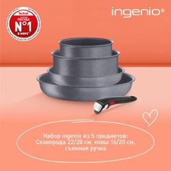 Набор посуды со съемной ручкой Tefal Ingenio Natural Force 5 предметов 16/20/22/28 см L3969053