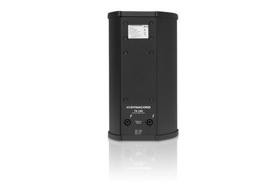 DYNACORD TS100 пассивный громкоговоритель,600Вт, динамик 6 дюймов