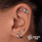 Bee SJ 648 Crystal