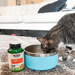 NOW Foods, Now Pets, L-лизин для кошек, 226,8 г (8 унций)