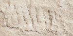 Devine Stone